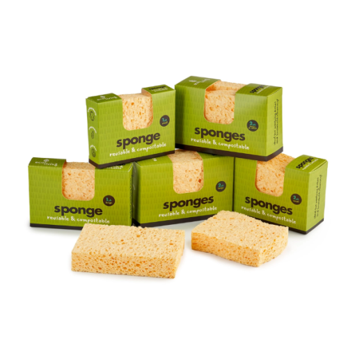 Compostable Sponges