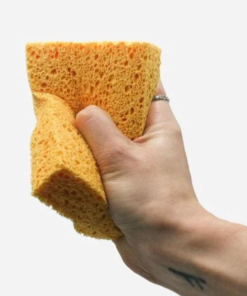 Compostable Sponges